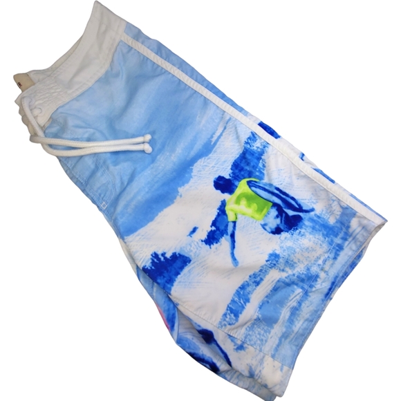 Hollister Mens xl Board Shorts Swim Trunks Surfboard Surfing Swimming Blue - Picture 5 of 7